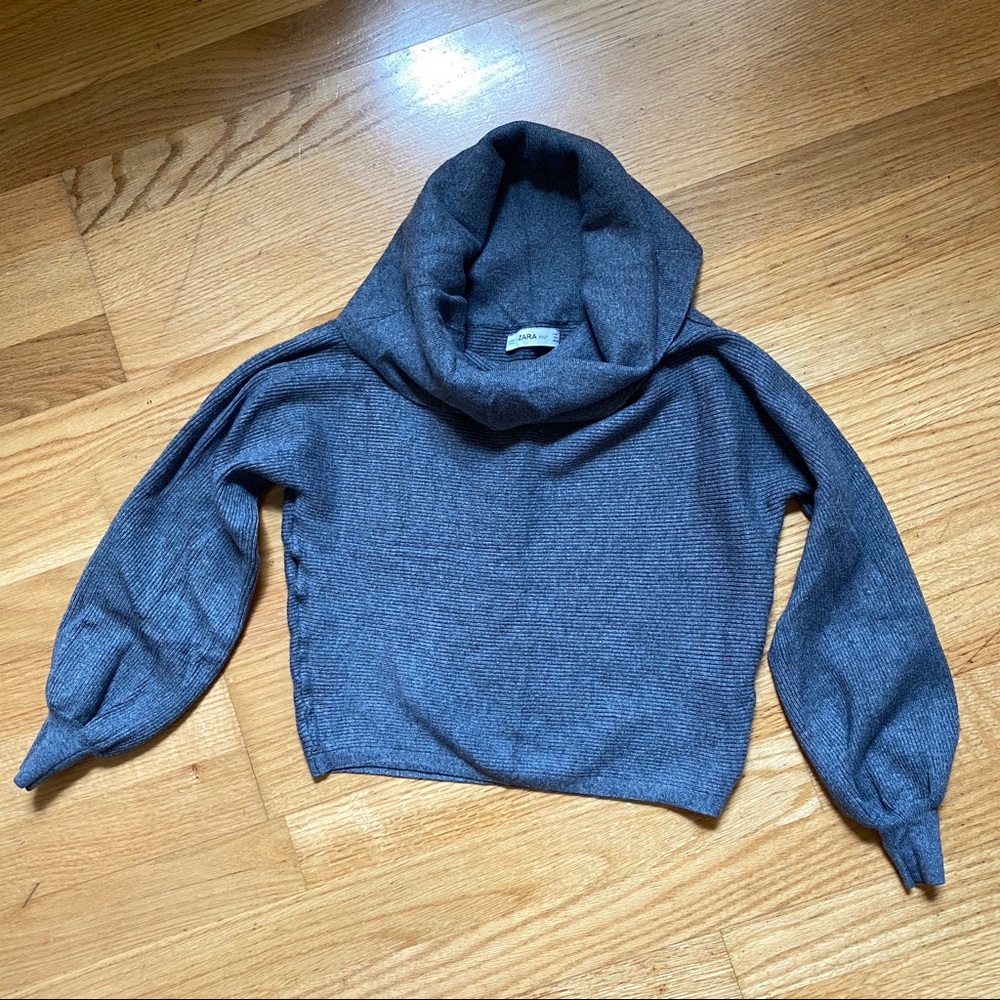 Zara crop sweater